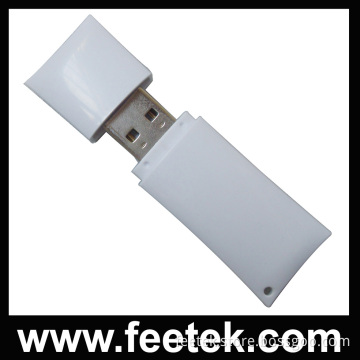 Popular OEM USB Flash Disk (FT-1170)
